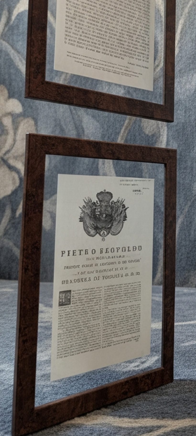 Editto granducale di Pietro Leopoldo incorniciato